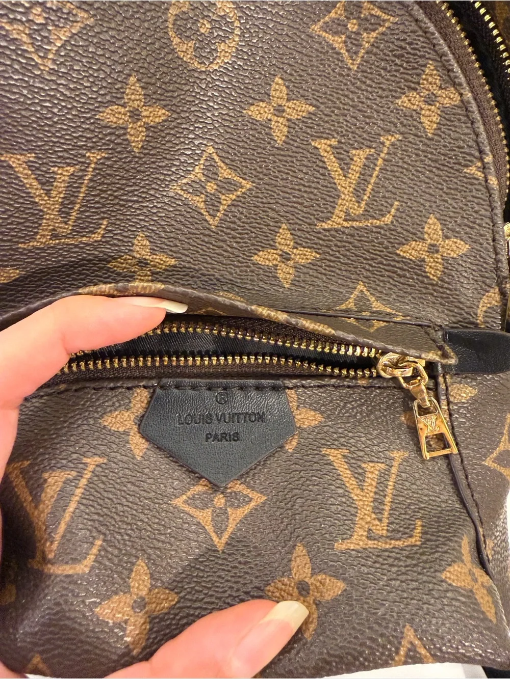Louis Vuitton Monogram Mini palm Backpack
